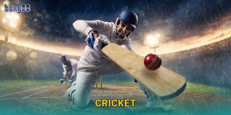 Cá Cược Cricket Bong88 bg Uy Tín