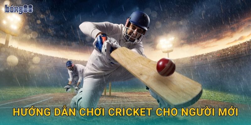 Hướng dẫn chơi Cricket cho người mới