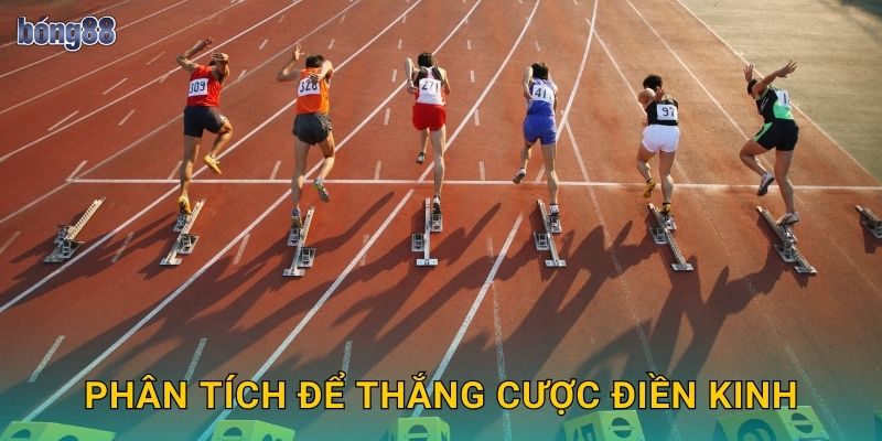 Phân tích để thắng cược điền kinh