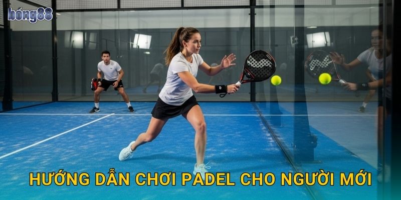 Hướng dẫn chơi Padel cho người mới